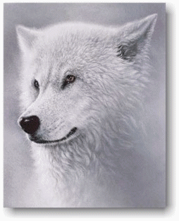 Angua und ihr AlterEgo